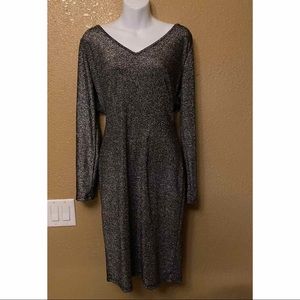 Silver Long Sleeve Dress